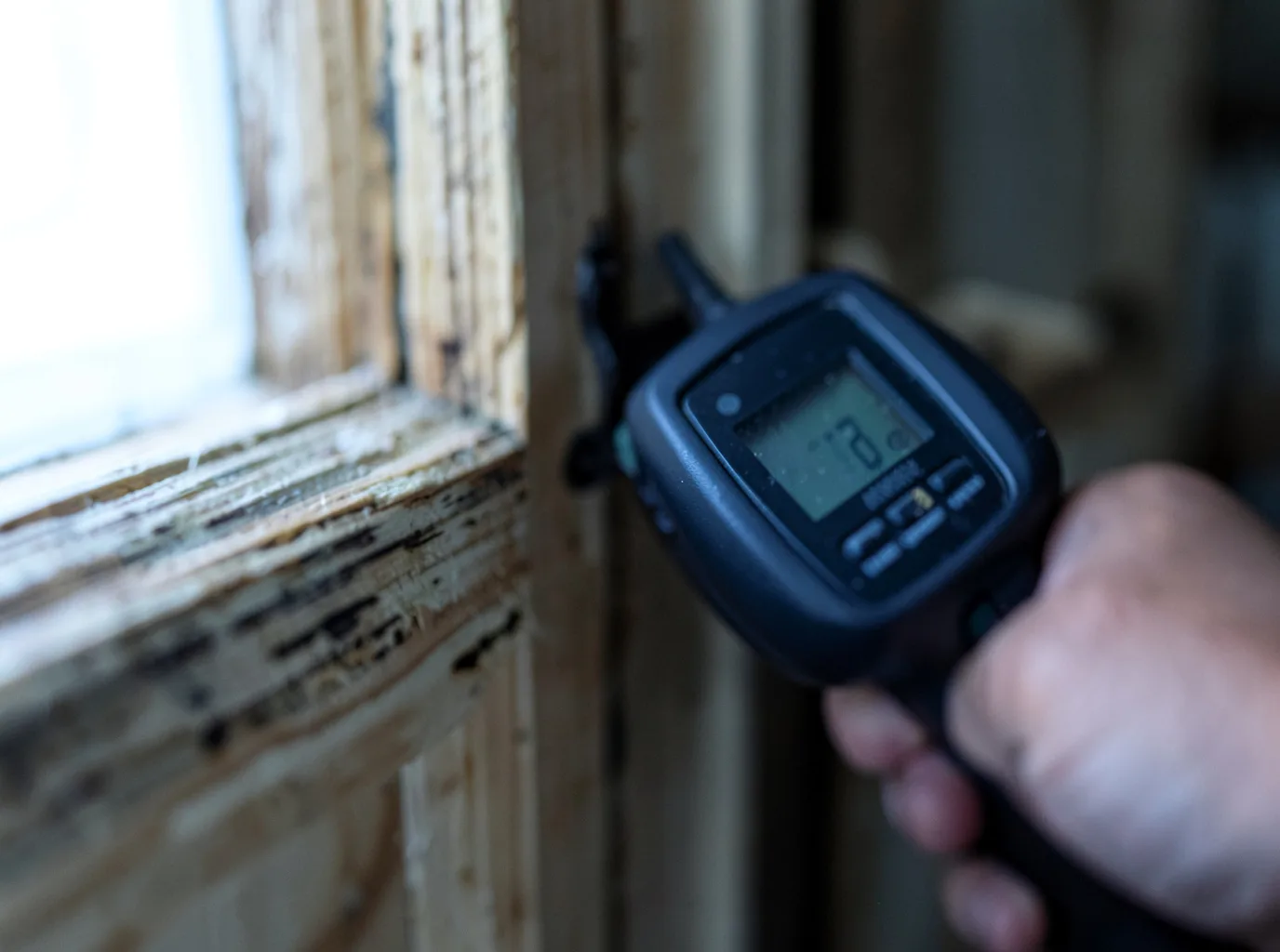 Moisture Inspection And Documentation in Loman, MN